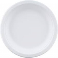 Compostable White Round 9 inch Plates - 50 pack